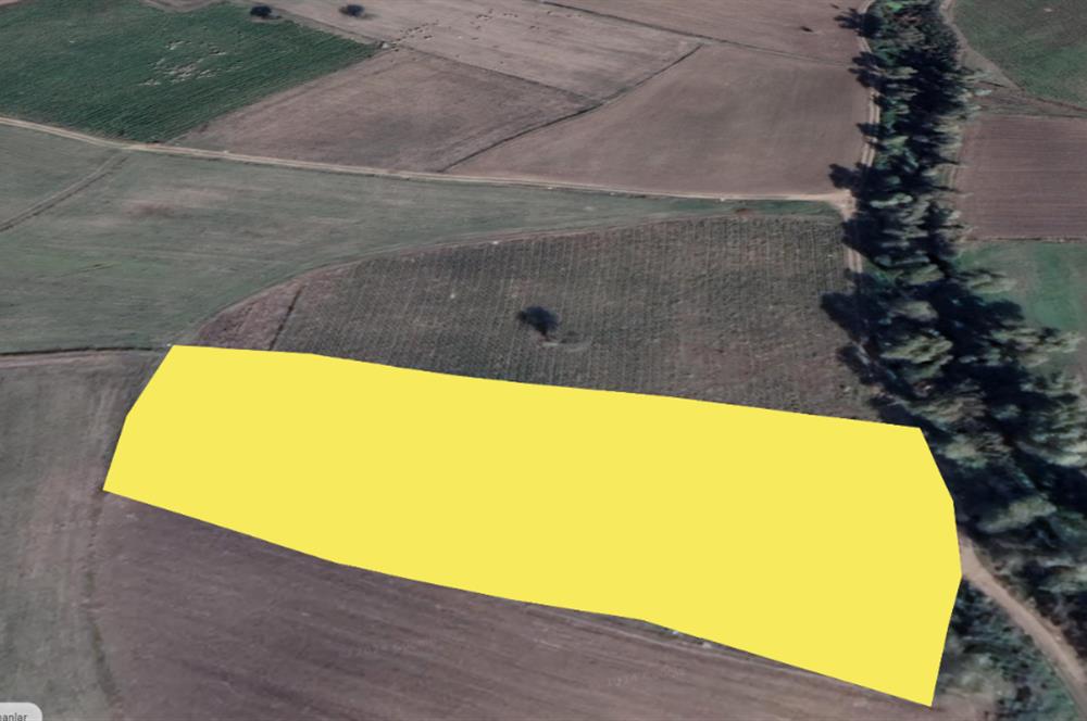 C21 LOCA'DAN SATILIK DERE KENARI SULANABİLİR 5700 M2 TARLA