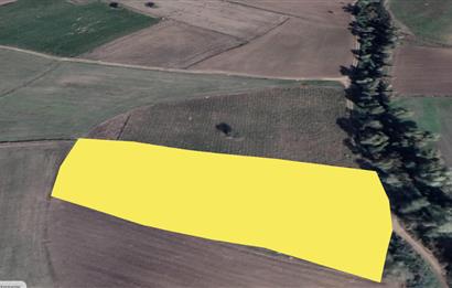 C21 LOCA'DAN SATILIK DERE KENARI SULANABİLİR 5700 M2 TARLA