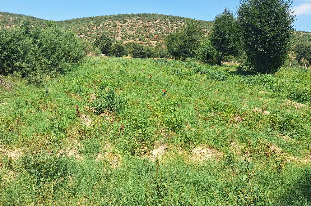 CENTURY 21 VİZYON'DAN YENİSOFÇA’DA SU VE YOLU OLAN 4001 M2 SATILIK TARLA