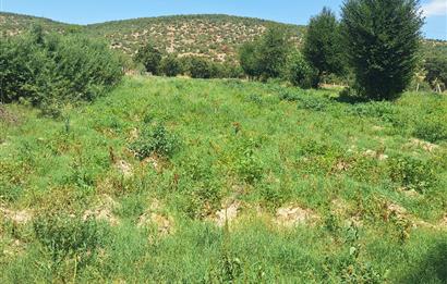 CENTURY 21 VİZYON'DAN YENİSOFÇA’DA SU VE YOLU OLAN 4001 M2 SATILIK TARLA