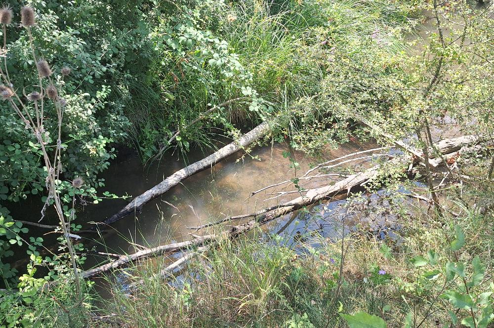 CENTURY 21 VİZYON'DAN YENİSOFÇA’DA SU VE YOLU OLAN 4001 M2 SATILIK TARLA