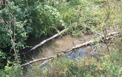 CENTURY 21 VİZYON'DAN YENİSOFÇA’DA SU VE YOLU OLAN 4001 M2 SATILIK TARLA