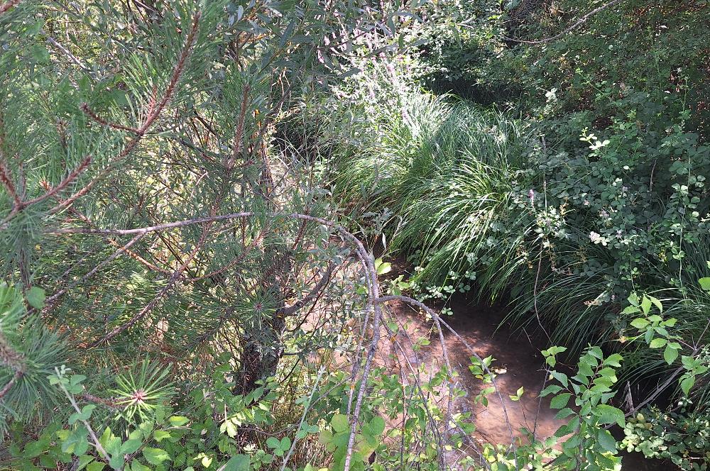 CENTURY 21 VİZYON'DAN YENİSOFÇA’DA SU VE YOLU OLAN 4001 M2 SATILIK TARLA