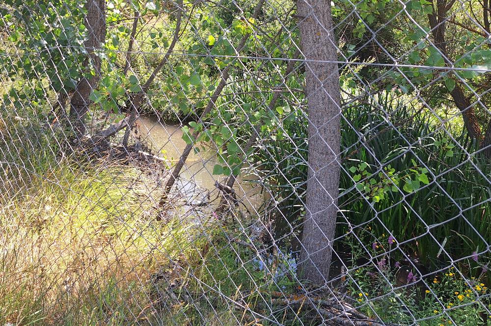 CENTURY 21 VİZYON'DAN YENİSOFÇA’DA SU VE YOLU OLAN 4001 M2 SATILIK TARLA