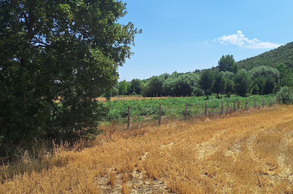 CENTURY 21 VİZYON'DAN YENİSOFÇA’DA SU VE YOLU OLAN 4001 M2 SATILIK TARLA