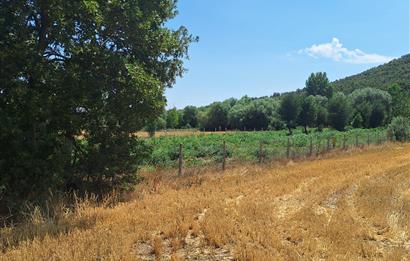 CENTURY 21 VİZYON'DAN YENİSOFÇA’DA SU VE YOLU OLAN 4001 M2 SATILIK TARLA