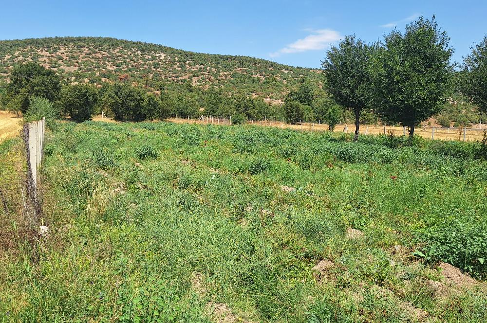 CENTURY 21 VİZYON'DAN YENİSOFÇA’DA SU VE YOLU OLAN 4001 M2 SATILIK TARLA