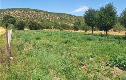 CENTURY 21 VİZYON'DAN YENİSOFÇA’DA SU VE YOLU OLAN 4001 M2 SATILIK TARLA