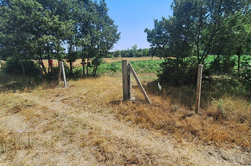 CENTURY 21 VİZYON'DAN YENİSOFÇA’DA SU VE YOLU OLAN 4001 M2 SATILIK TARLA