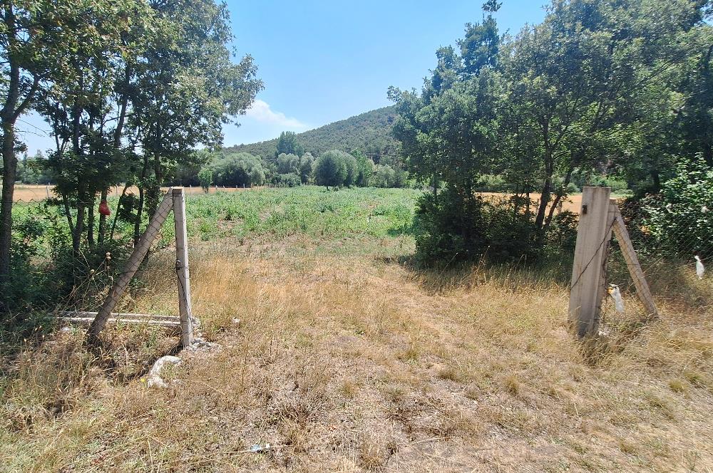 CENTURY 21 VİZYON'DAN YENİSOFÇA’DA SU VE YOLU OLAN 4001 M2 SATILIK TARLA