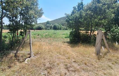 CENTURY 21 VİZYON'DAN YENİSOFÇA’DA SU VE YOLU OLAN 4001 M2 SATILIK TARLA