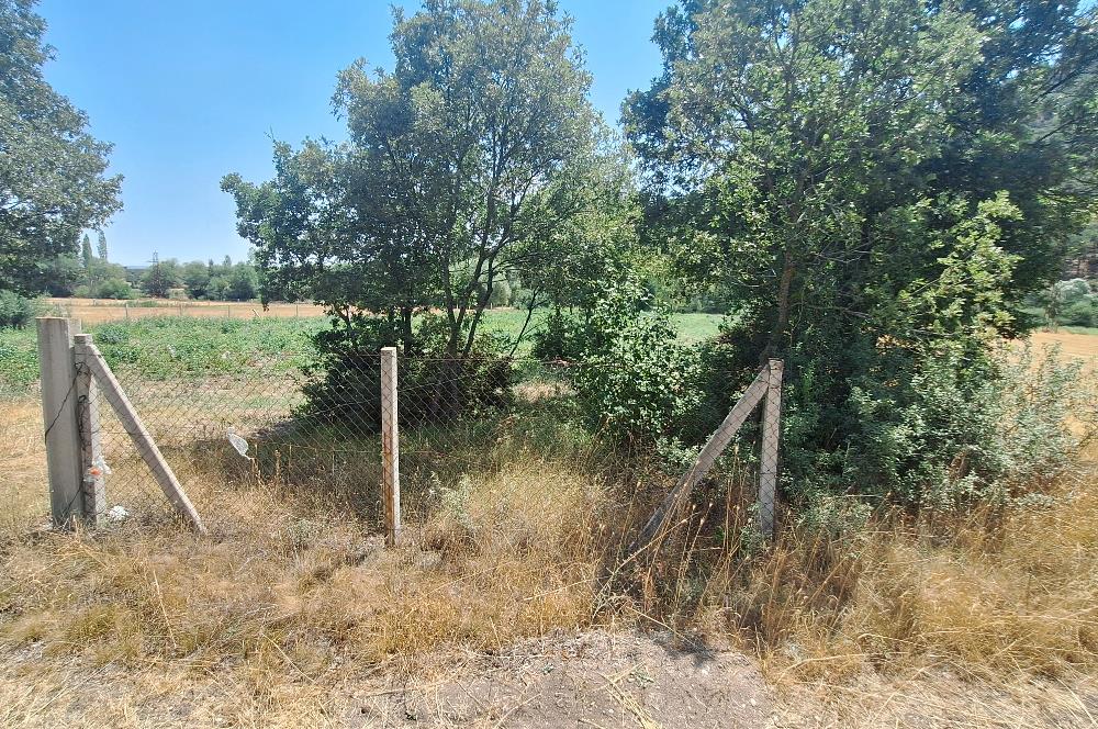 CENTURY 21 VİZYON'DAN YENİSOFÇA’DA SU VE YOLU OLAN 4001 M2 SATILIK TARLA