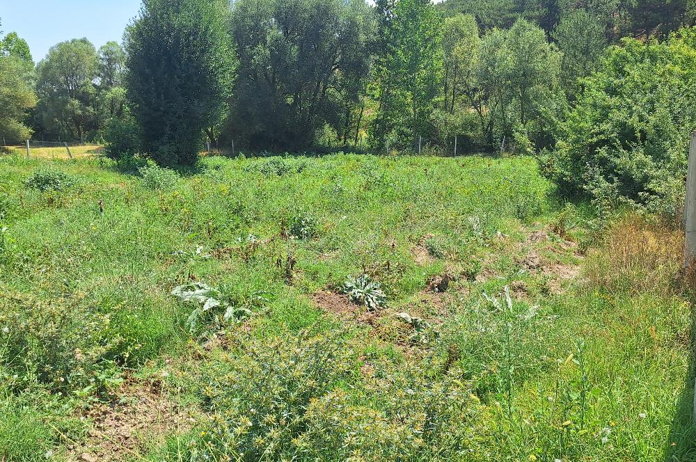 CENTURY 21 VİZYON'DAN YENİSOFÇA’DA SU VE YOLU OLAN 4001 M2 SATILIK TARLA