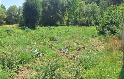 CENTURY 21 VİZYON'DAN YENİSOFÇA’DA SU VE YOLU OLAN 4001 M2 SATILIK TARLA