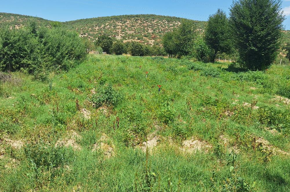 CENTURY 21 VİZYON'DAN YENİSOFÇA’DA SU VE YOLU OLAN 4001 M2 SATILIK TARLA