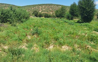 CENTURY 21 VİZYON'DAN YENİSOFÇA’DA SU VE YOLU OLAN 4001 M2 SATILIK TARLA