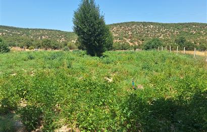 CENTURY 21 VİZYON'DAN YENİSOFÇA’DA SU VE YOLU OLAN 4001 M2 SATILIK TARLA