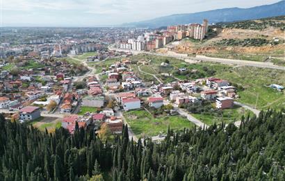 C21 BAL’DAN EDREMİT İBRAHİMCE’DE// YOLA YAKIN 199 m2 ARSA