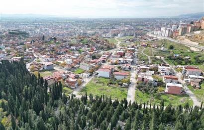 C21 BAL’DAN EDREMİT İBRAHİMCE’DE// YOLA YAKIN 199 m2 ARSA
