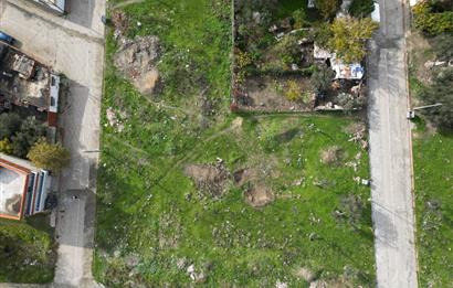 C21 BAL’DAN EDREMİT İBRAHİMCE’DE// YOLA YAKIN 199 m2 ARSA