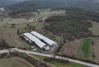 C21 TERAS - BOLU MUDURNU SATILIK 70,000lik KÜMES - 1 - 30315