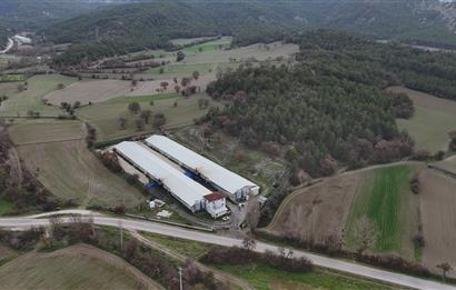 C21 TERAS - BOLU MUDURNU SATILIK 70,000lik KÜMES