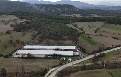 C21 TERAS - BOLU MUDURNU SATILIK 70,000lik KÜMES