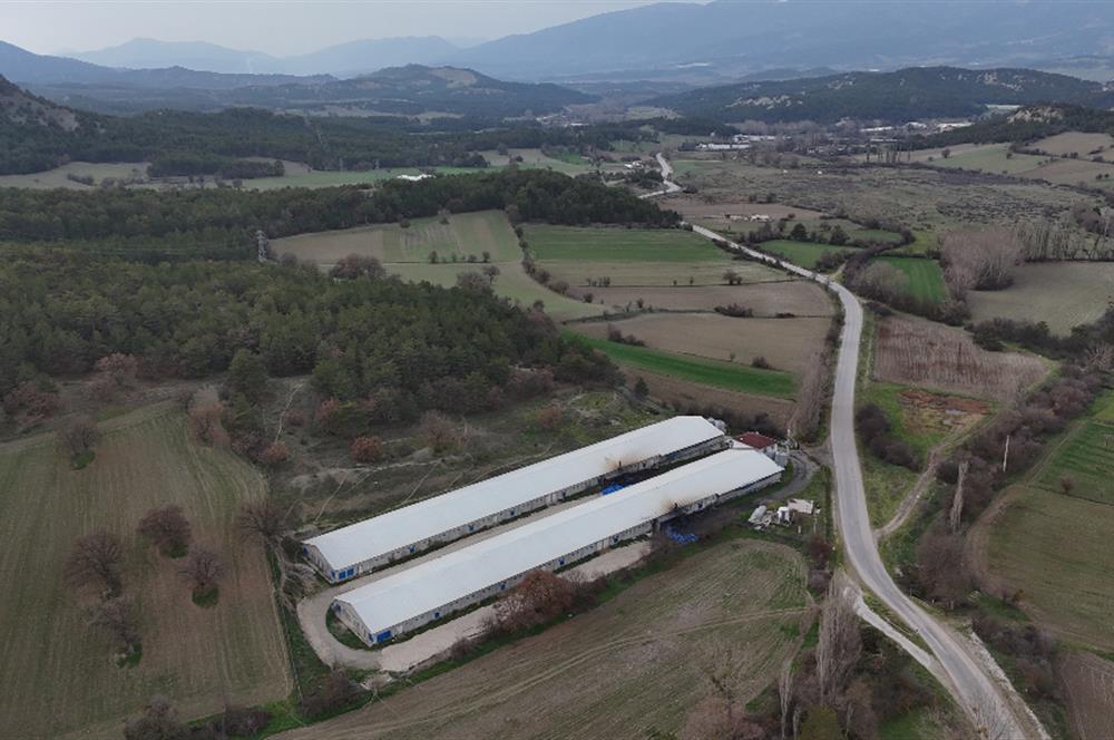 C21 TERAS - BOLU MUDURNU SATILIK 70,000lik KÜMES