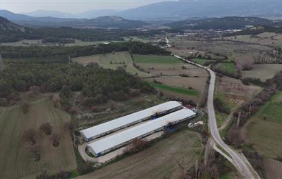 C21 TERAS - BOLU MUDURNU SATILIK 70,000lik KÜMES