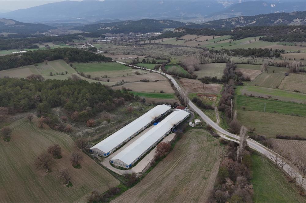 C21 TERAS - BOLU MUDURNU SATILIK 70,000lik KÜMES