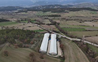 C21 TERAS - BOLU MUDURNU SATILIK 70,000lik KÜMES