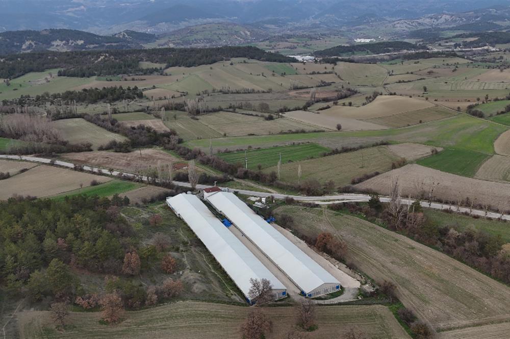 C21 TERAS - BOLU MUDURNU SATILIK 70,000lik KÜMES