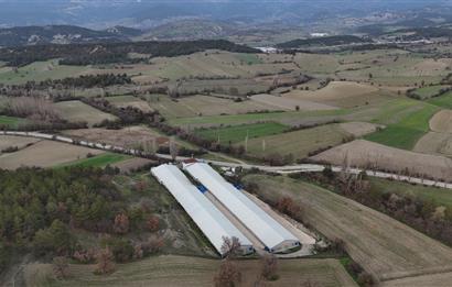 C21 TERAS - BOLU MUDURNU SATILIK 70,000lik KÜMES