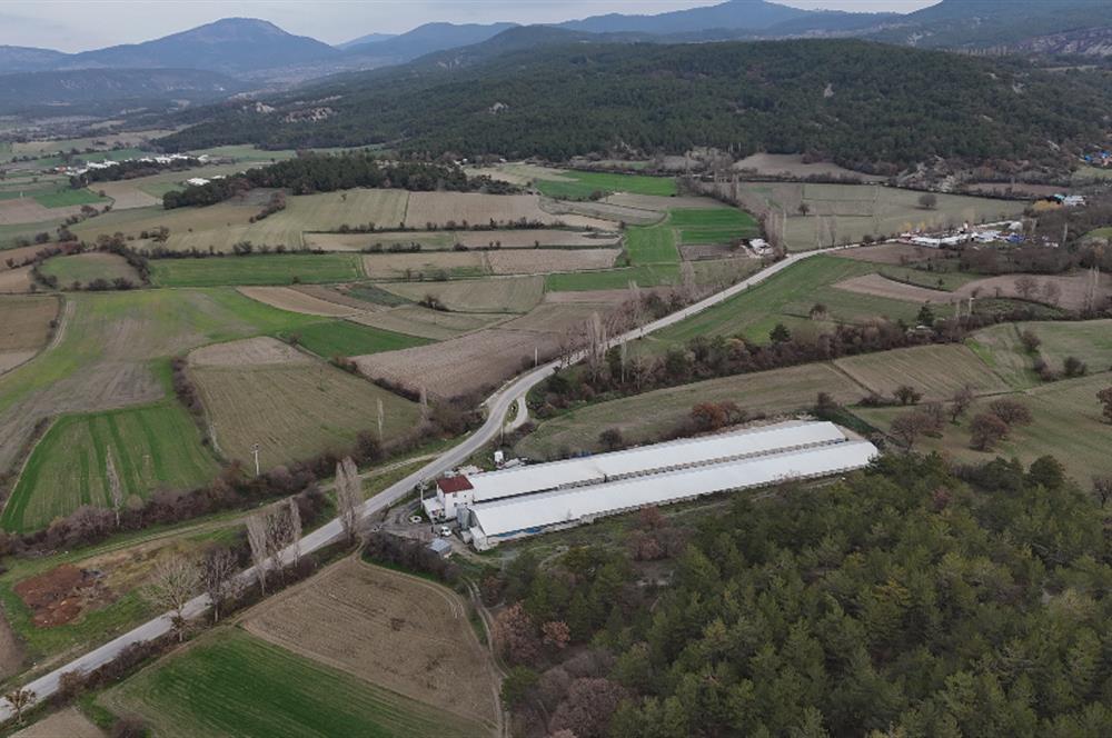 C21 TERAS - BOLU MUDURNU SATILIK 70,000lik KÜMES