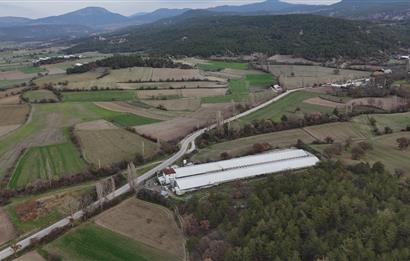 C21 TERAS - BOLU MUDURNU SATILIK 70,000lik KÜMES