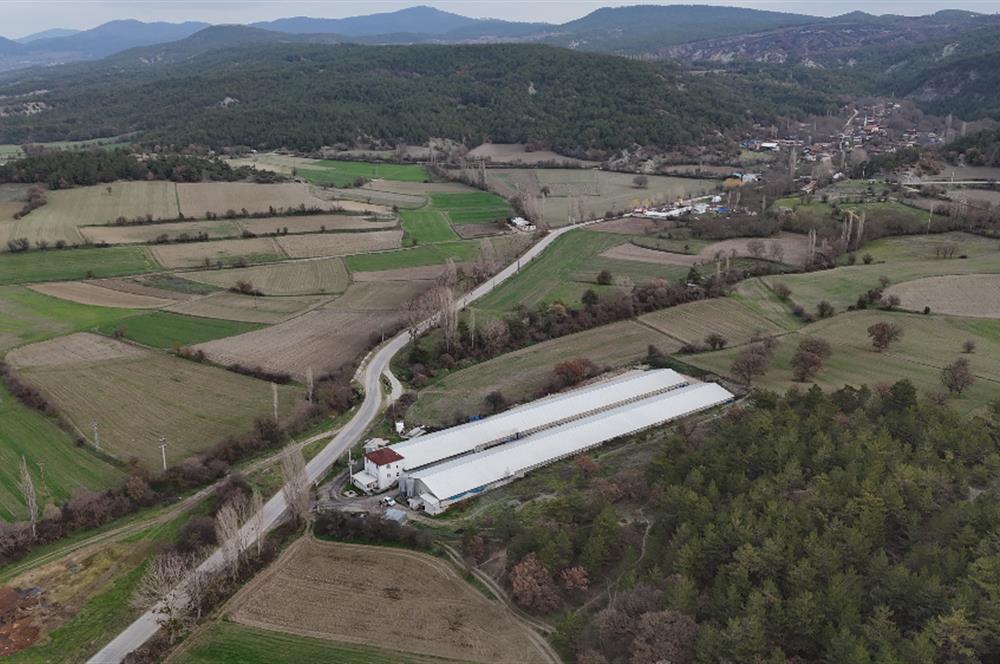 C21 TERAS - BOLU MUDURNU SATILIK 70,000lik KÜMES