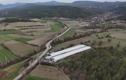 C21 TERAS - BOLU MUDURNU SATILIK 70,000lik KÜMES