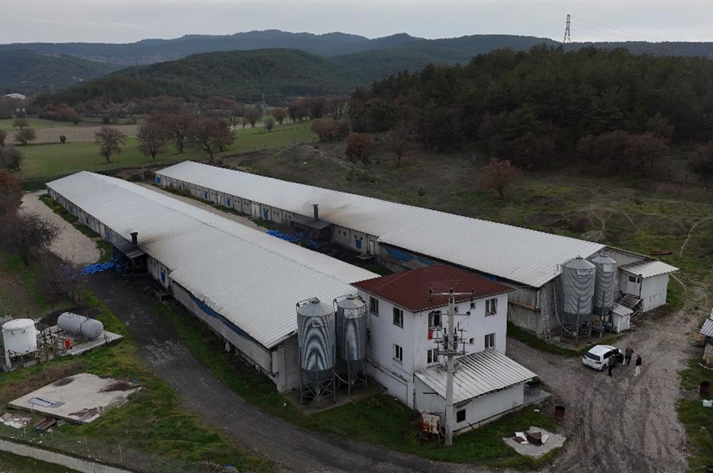 C21 TERAS - BOLU MUDURNU SATILIK 70,000lik KÜMES