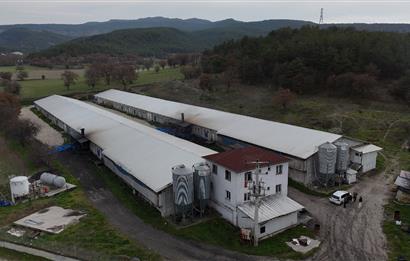 C21 TERAS - BOLU MUDURNU SATILIK 70,000lik KÜMES