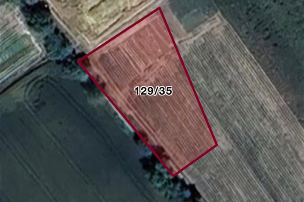 Yeniakçakavak satılık tarla