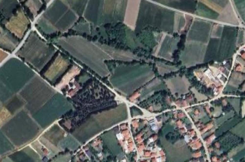 Yeniakçakavak satılık tarla