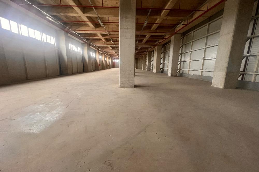 Dilovası Osb Kiralık Depo/Antrepo