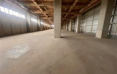 Dilovası Osb Kiralık Depo/Antrepo