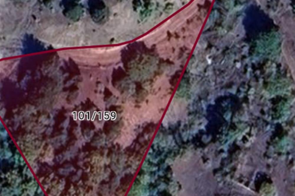 Bilecik Gölpazarı Dokuz Köyü Satılık Tarla