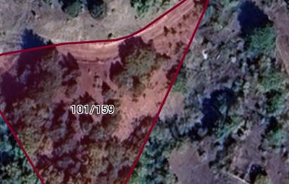 Bilecik Gölpazarı Dokuz Köyü Satılık Tarla