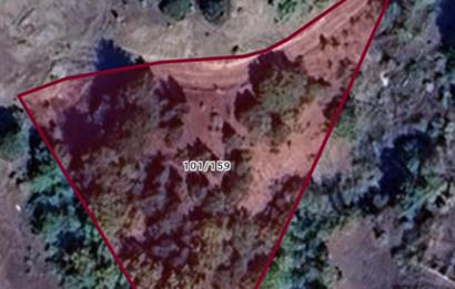 Bilecik Gölpazarı Dokuz Köyü Satılık Tarla