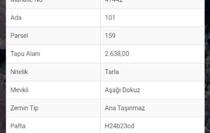 Bilecik Gölpazarı Dokuz Köyü Satılık Tarla