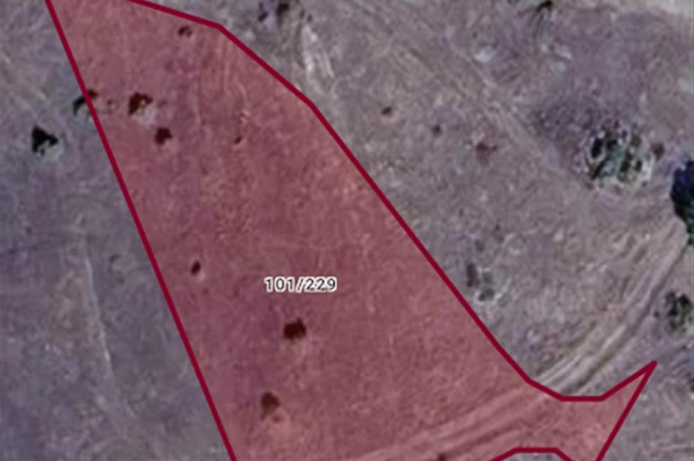 Bilecik Gölpazarı Dokuz Köyü Satılık Tarla