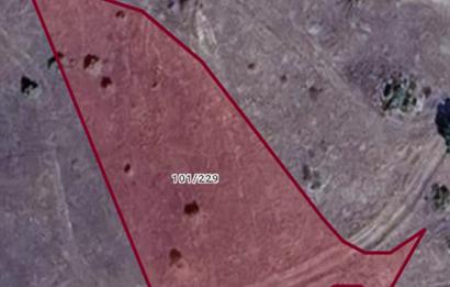 Bilecik Gölpazarı Dokuz Köyü Satılık Tarla