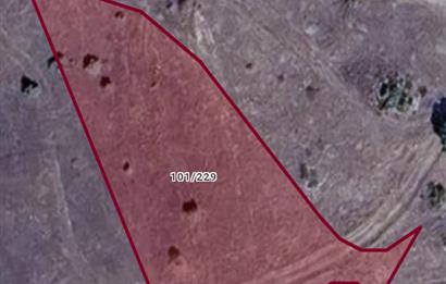 Bilecik Gölpazarı Dokuz Köyü Satılık Tarla